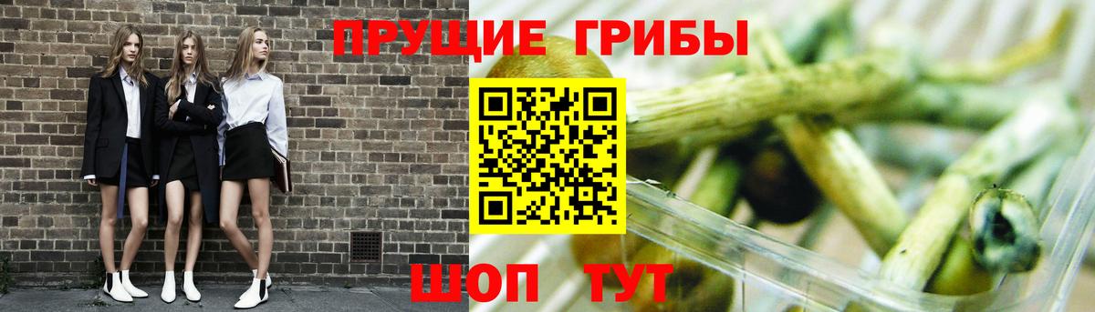 Галлюциногенные грибы Psilocybine cubensis  Вход с VPN  Алушта 